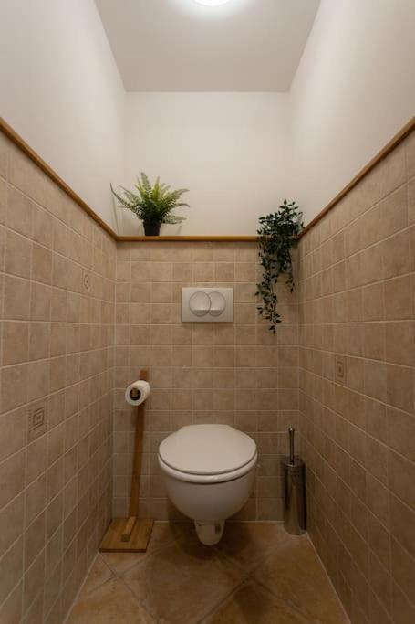Quiet and Stylish City Park Flat