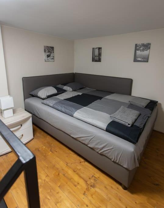 Quiet and Stylish City Park Flat