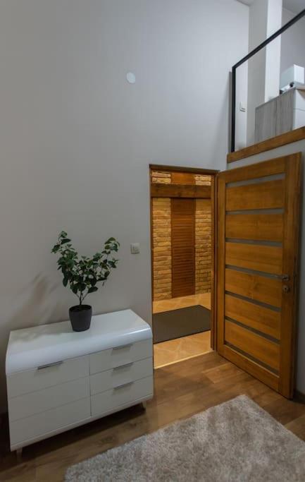 Quiet and Stylish City Park Flat