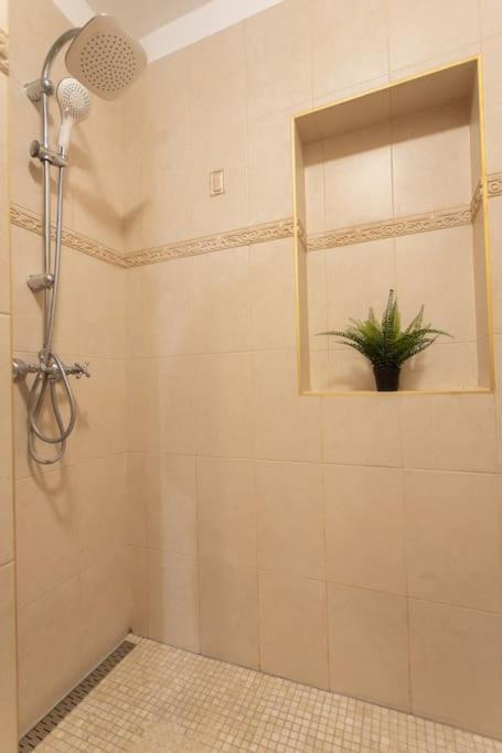 Quiet and Stylish City Park Flat