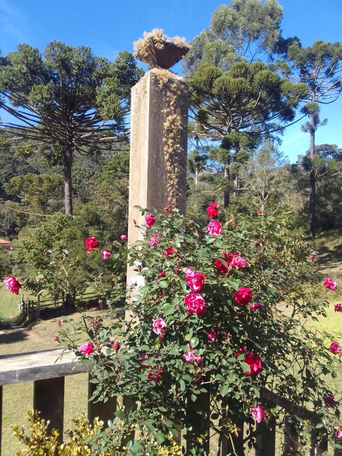 Casa SERRA DA BALANÇA - PÉROLA DA MANTIQUEIRA