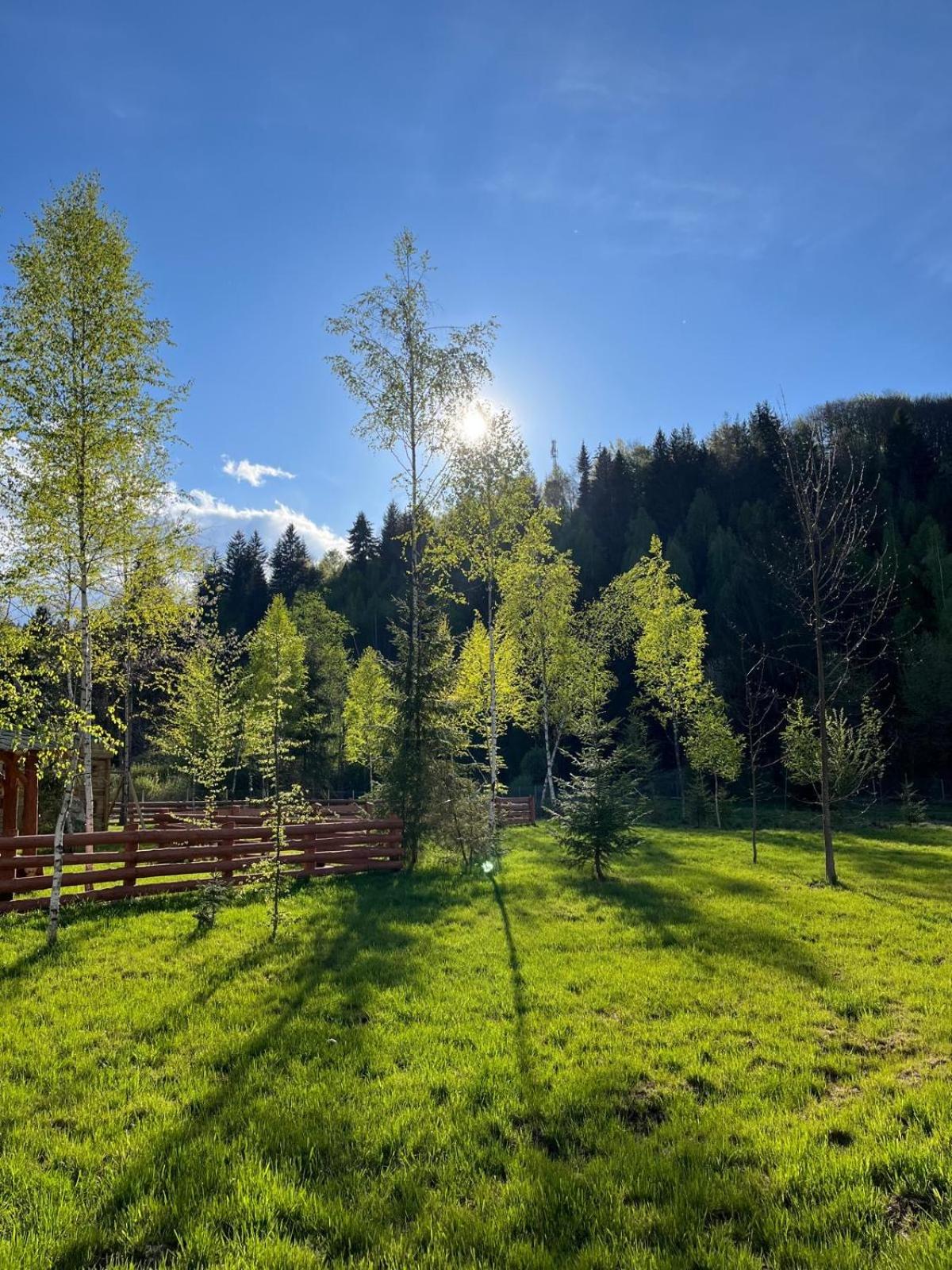 Bucoville