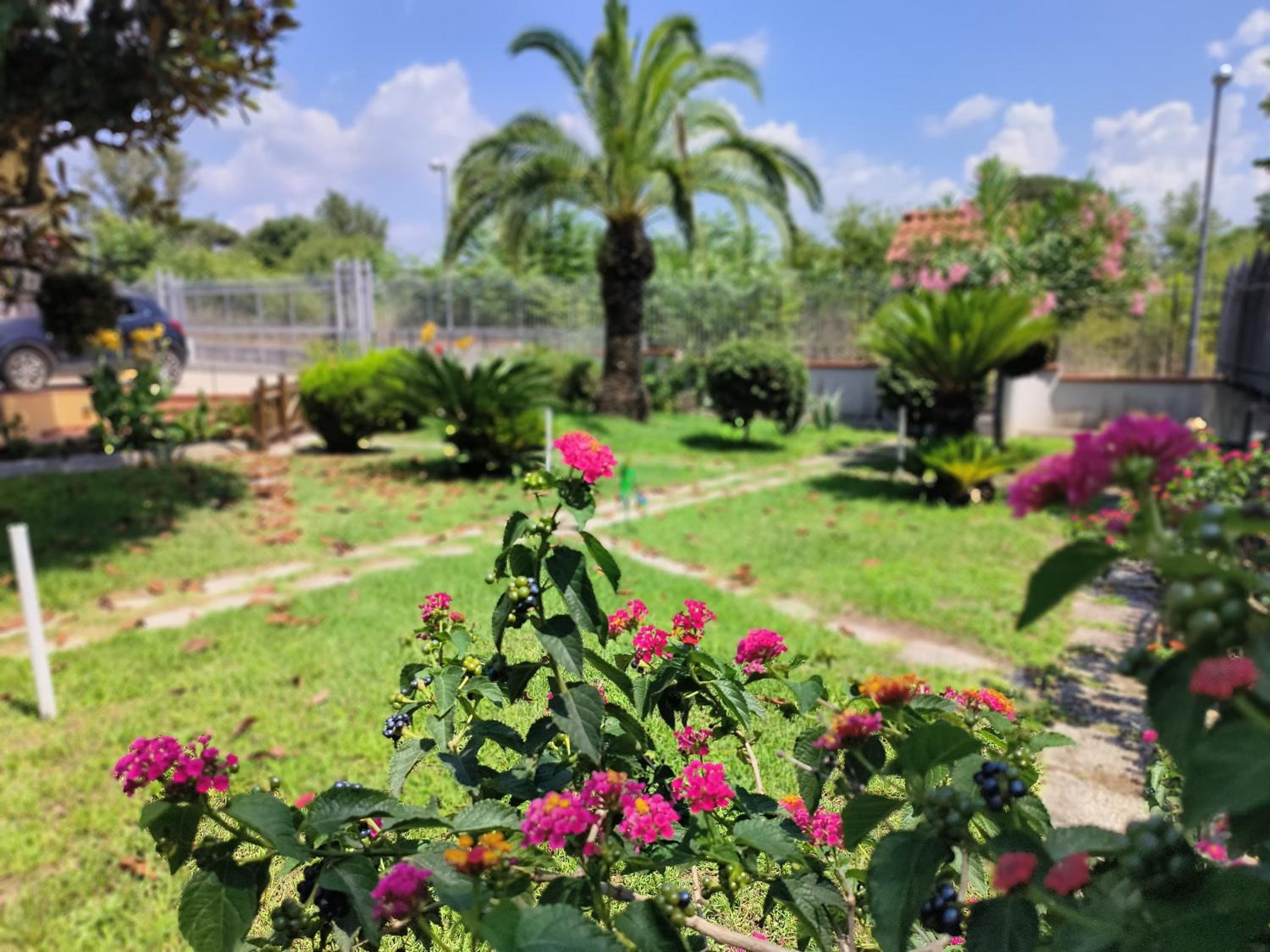 I Giardini di Plinio - Elegante e Luminoso. photo 2