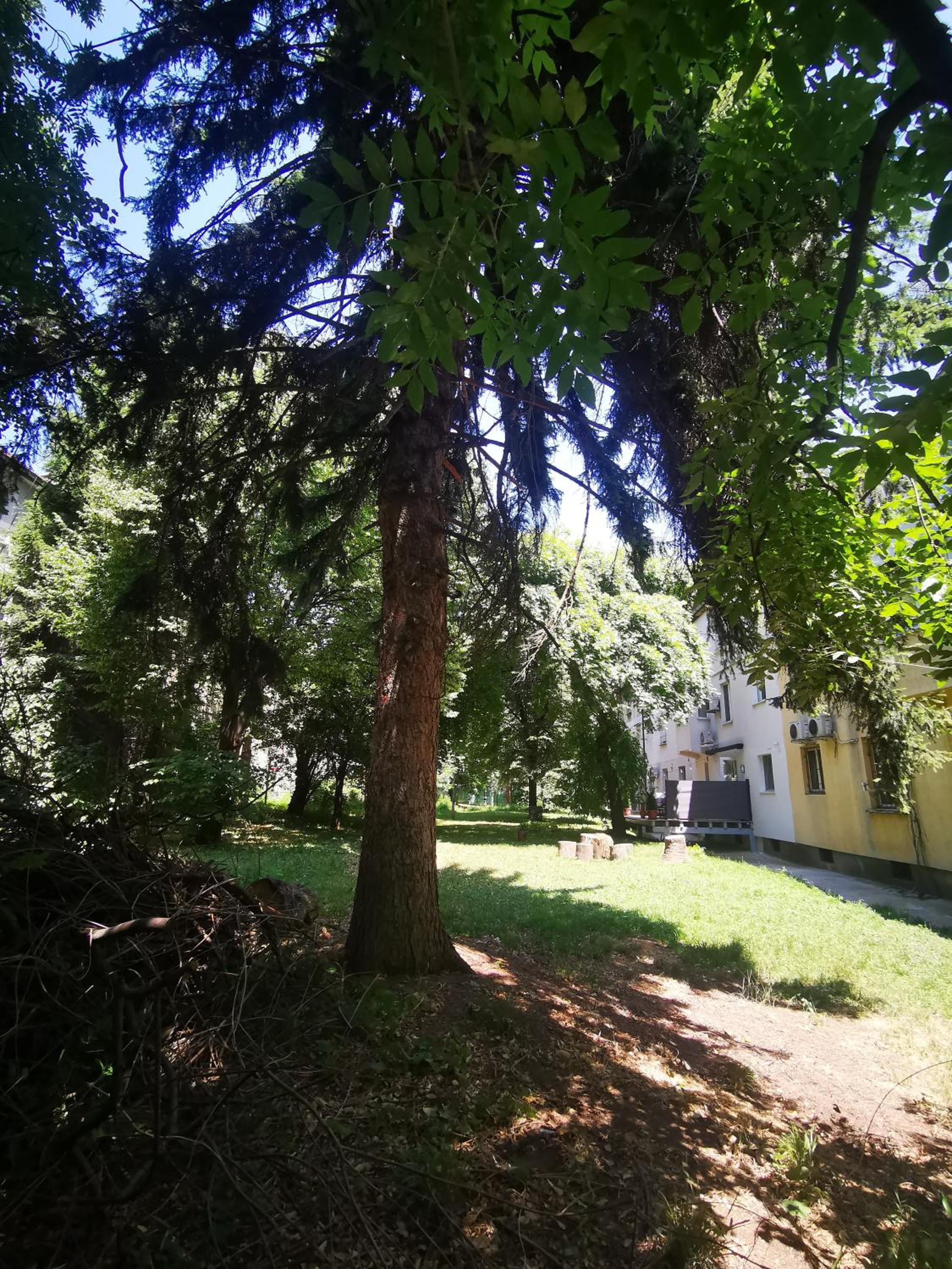 Apartment 59
