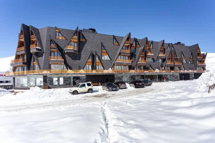 2 Room Apartment in Marshall Gudauri Project view 2