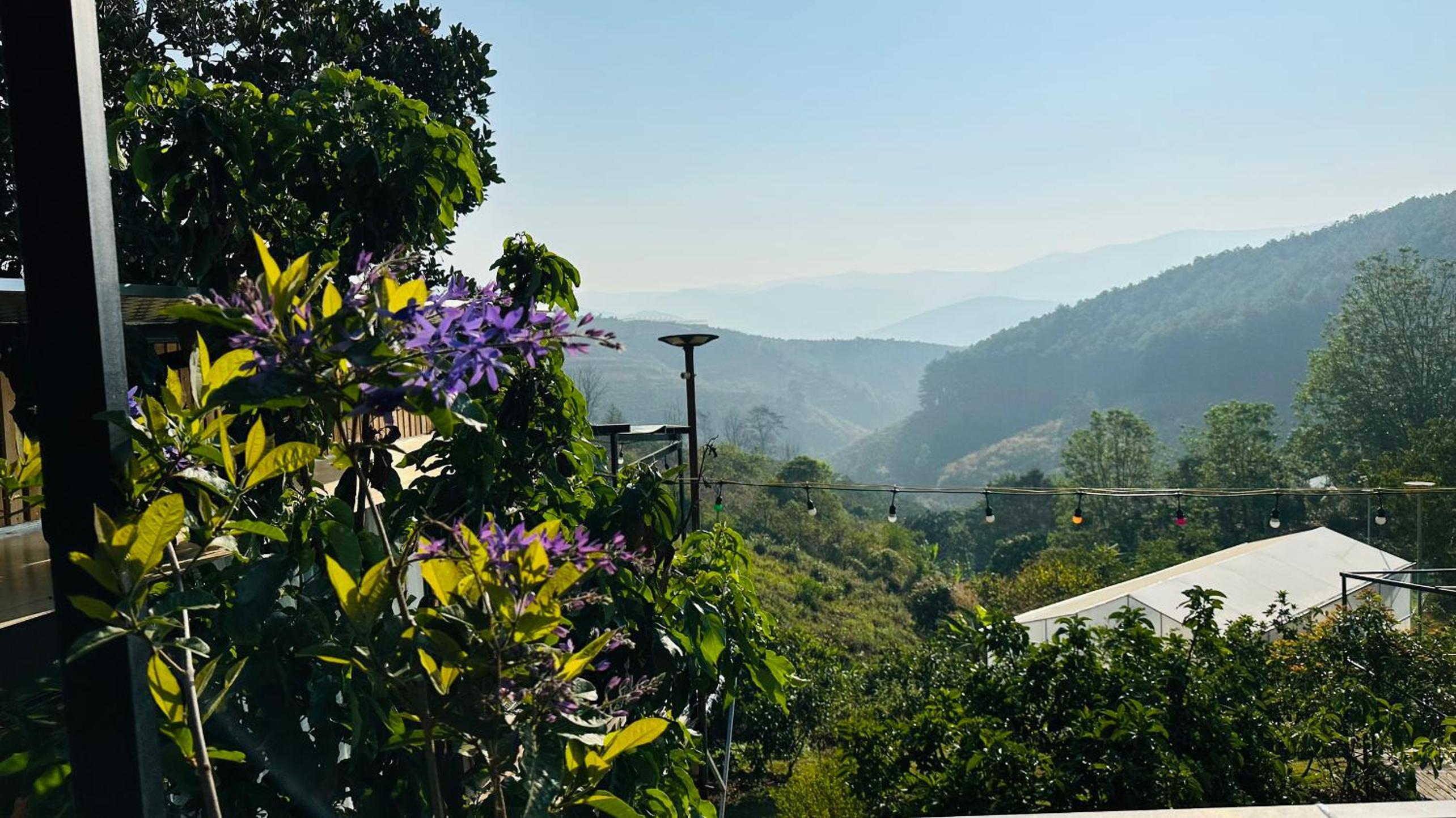 Thông Reo Farm & Homestay view 4