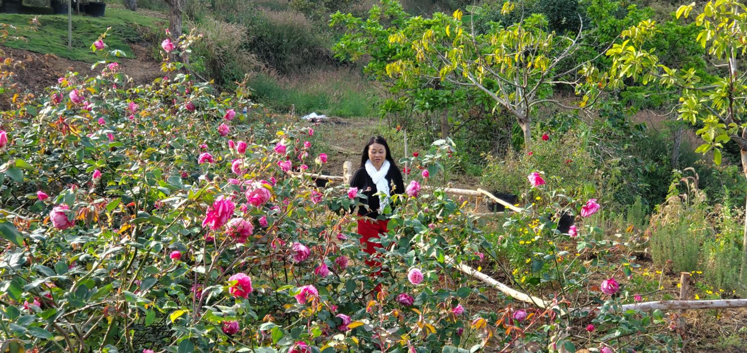 Thông Reo Farm & Homestay view 5