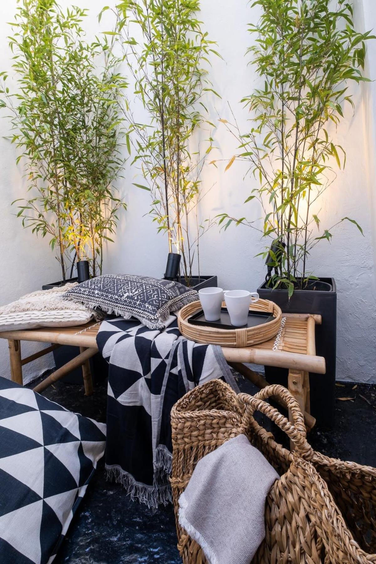 Host & Stay - The Brighton Breeze