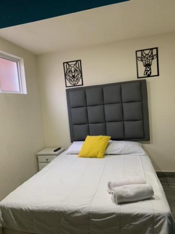 Urban 8 Bedrooms Apartment at Poblado