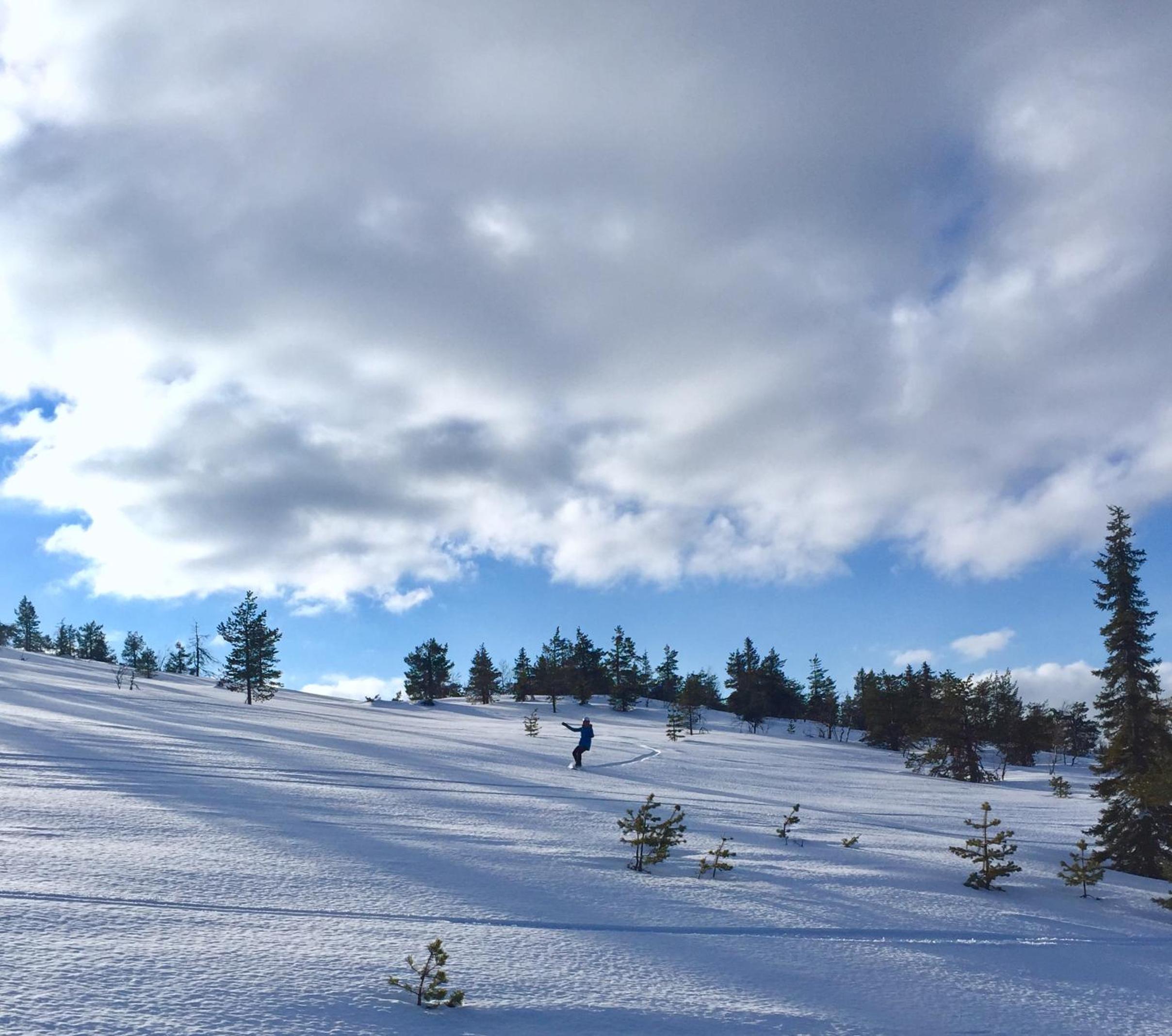 Aurora Lapland Ski in, forest view, 2 bdr, sauna, terrace, fireplace, wifi, Pyhä-Luosto National Park