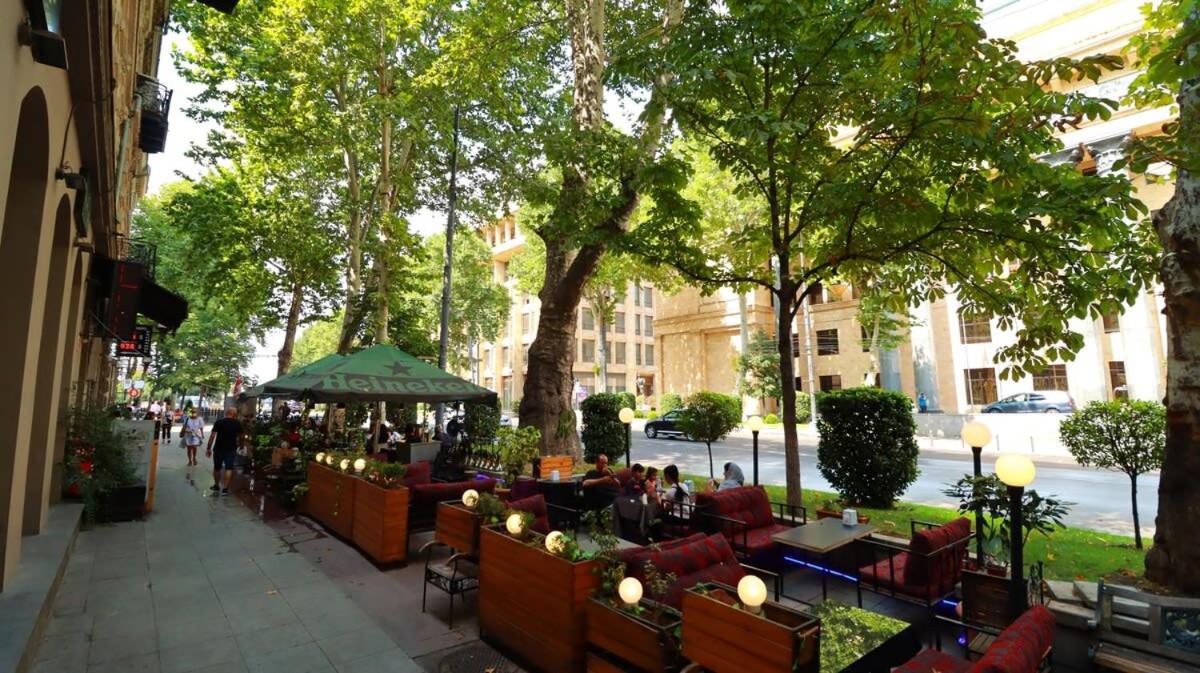 Stylish Apartment on Rustaveli Avenue view 4