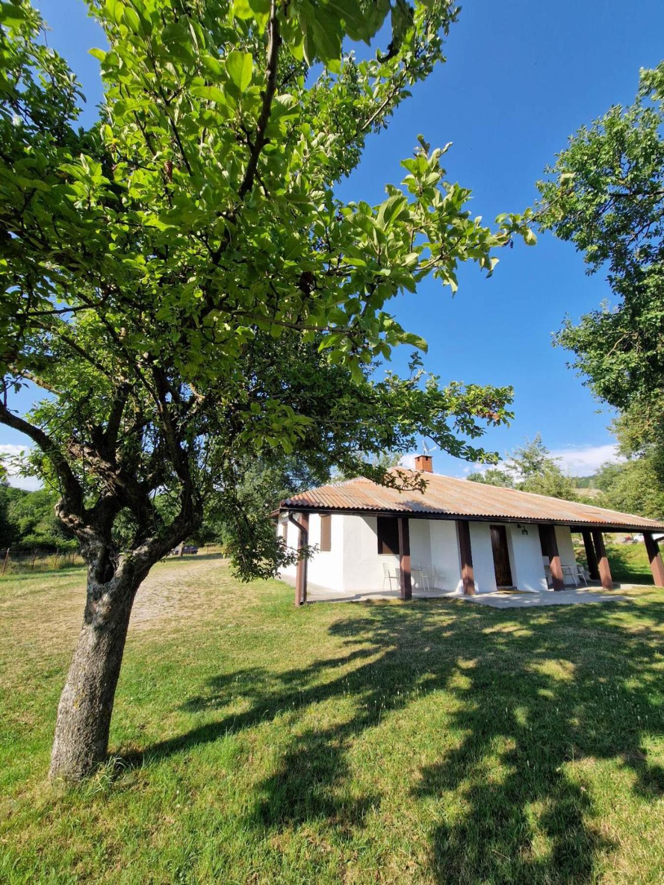 Apartmani & Auto kamp GAJ