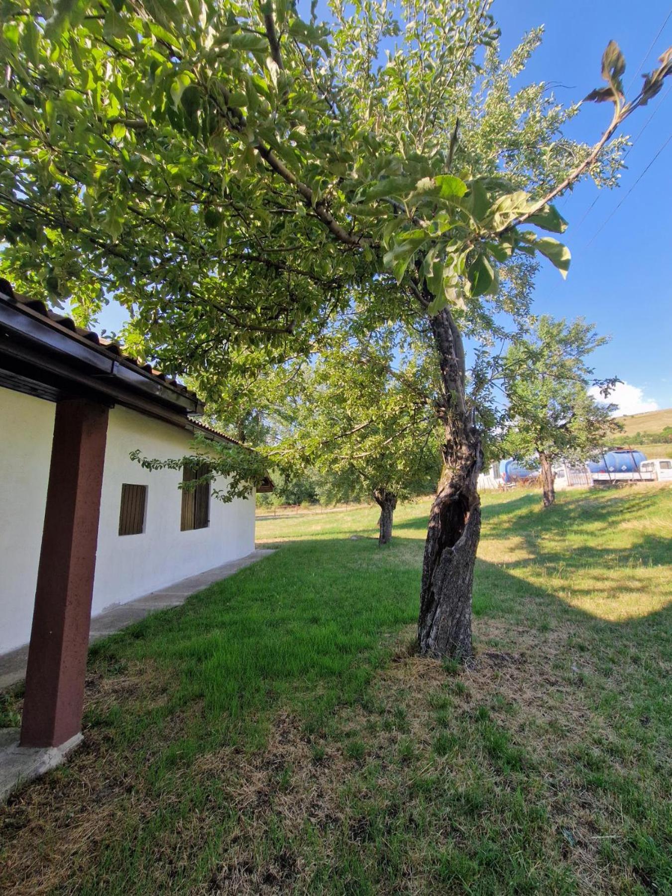 Apartmani & Auto kamp GAJ