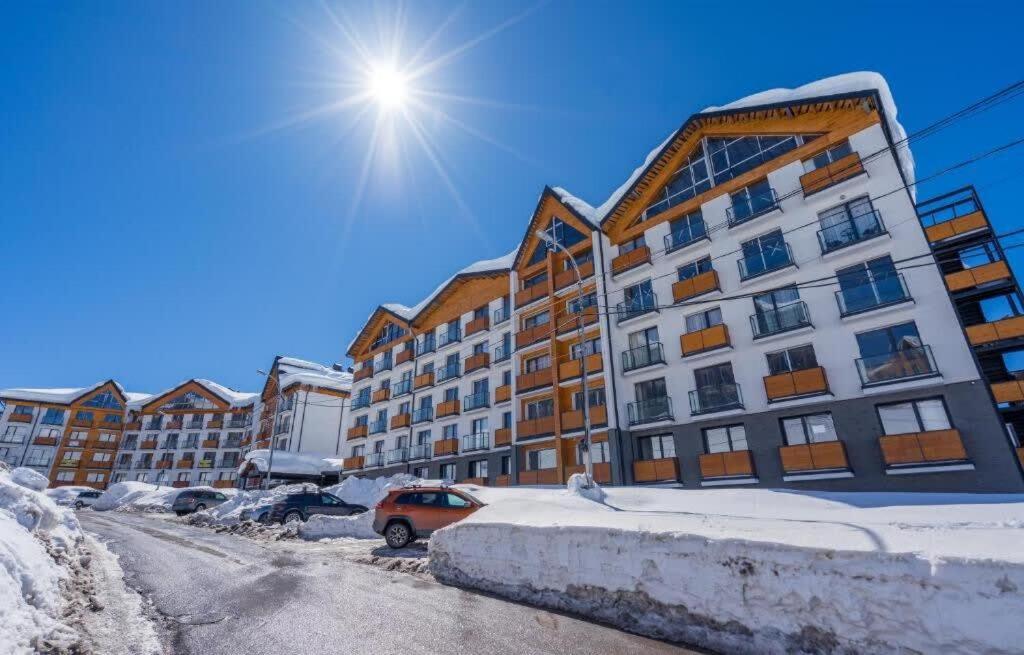 Studio Apartment in Twins Gudauri project view 4