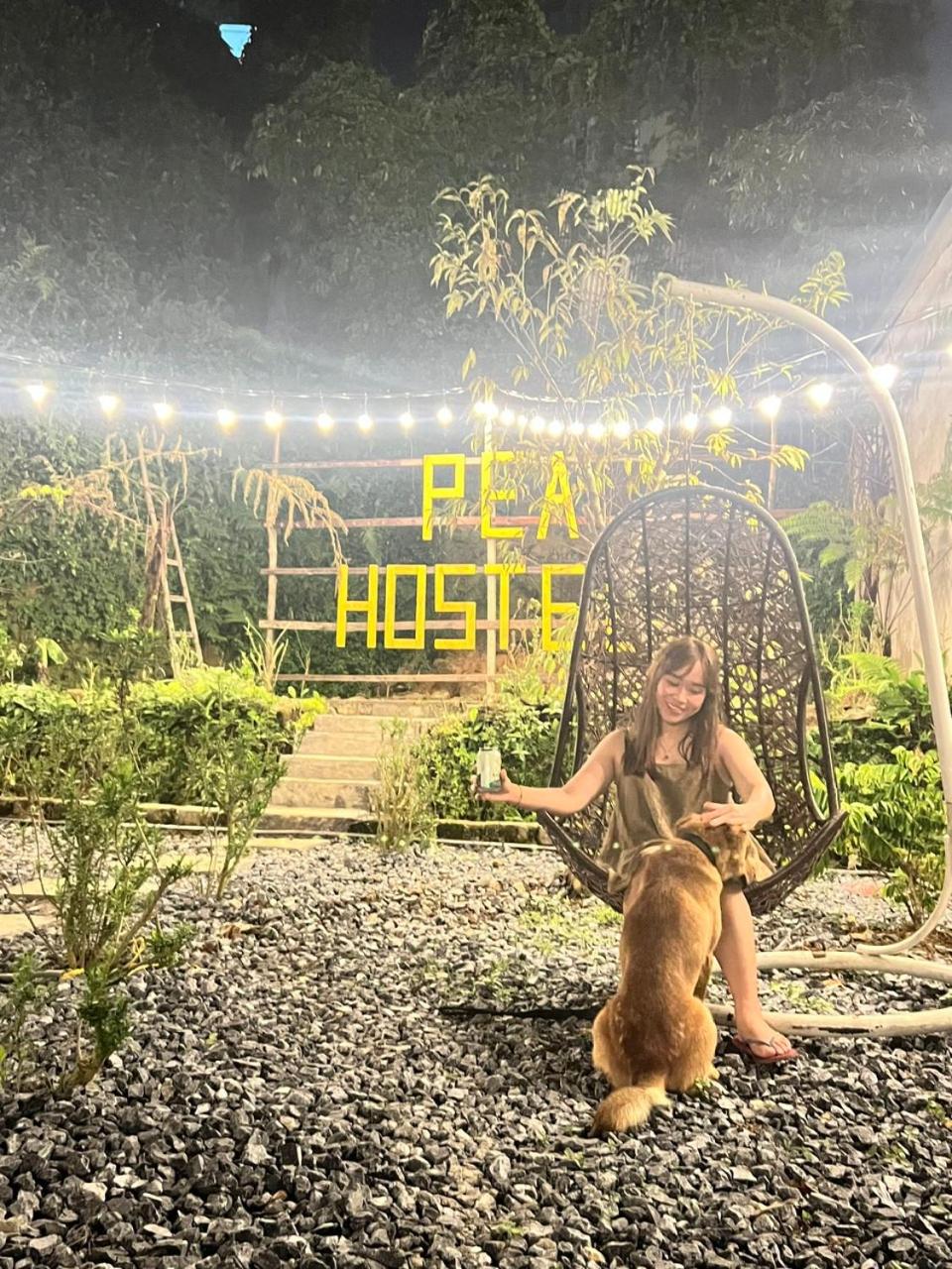 Pea Hostel