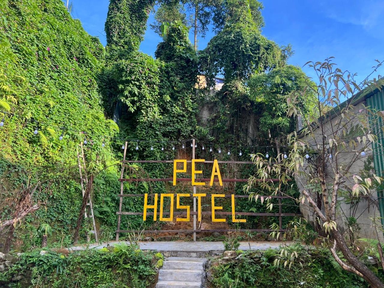 Pea Hostel