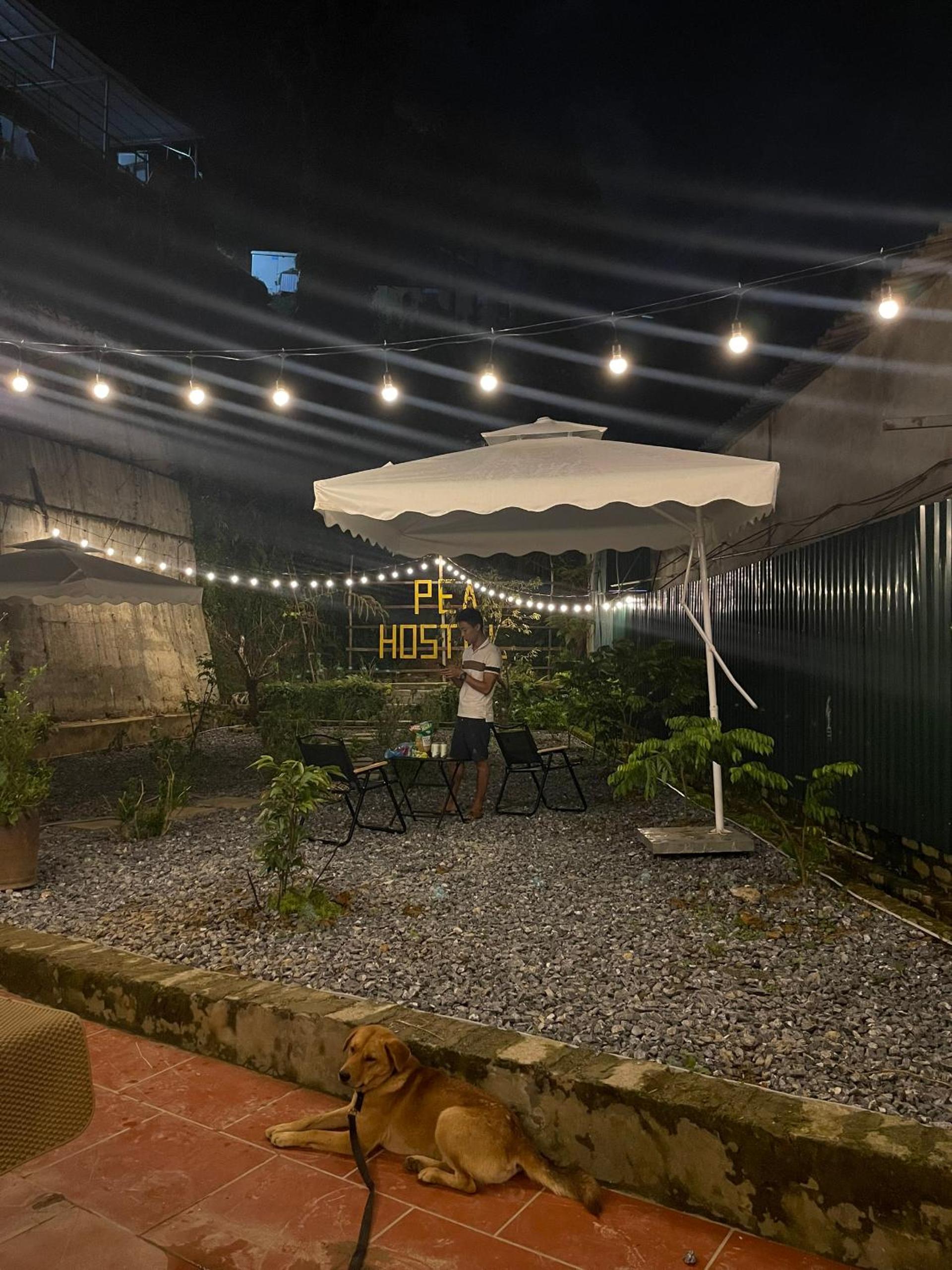 Pea Hostel