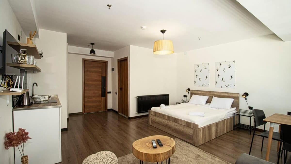 Charming Apartment for 4 In Marshall Gudauri view 2