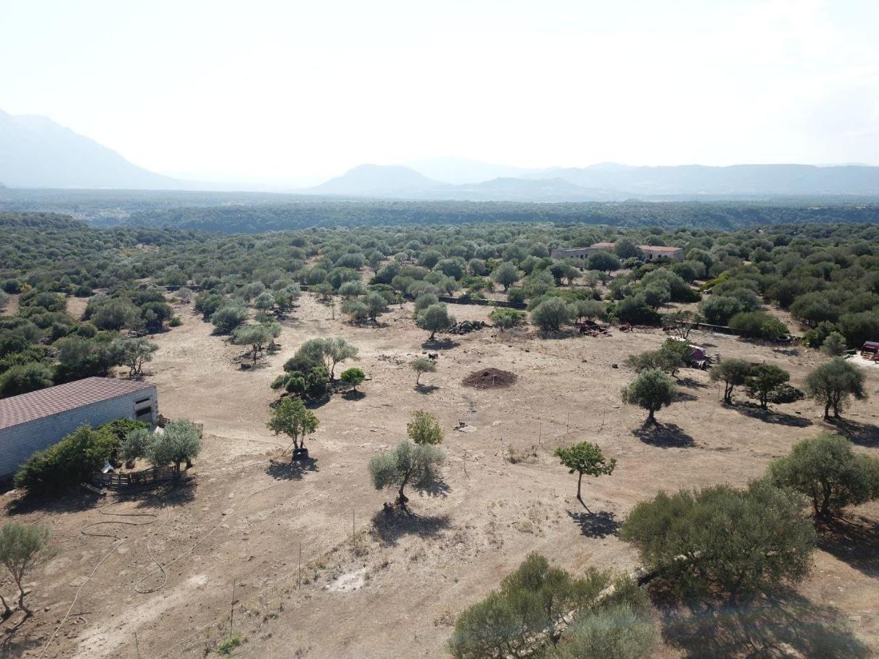 Agriturismo Sa Murta Dorgali