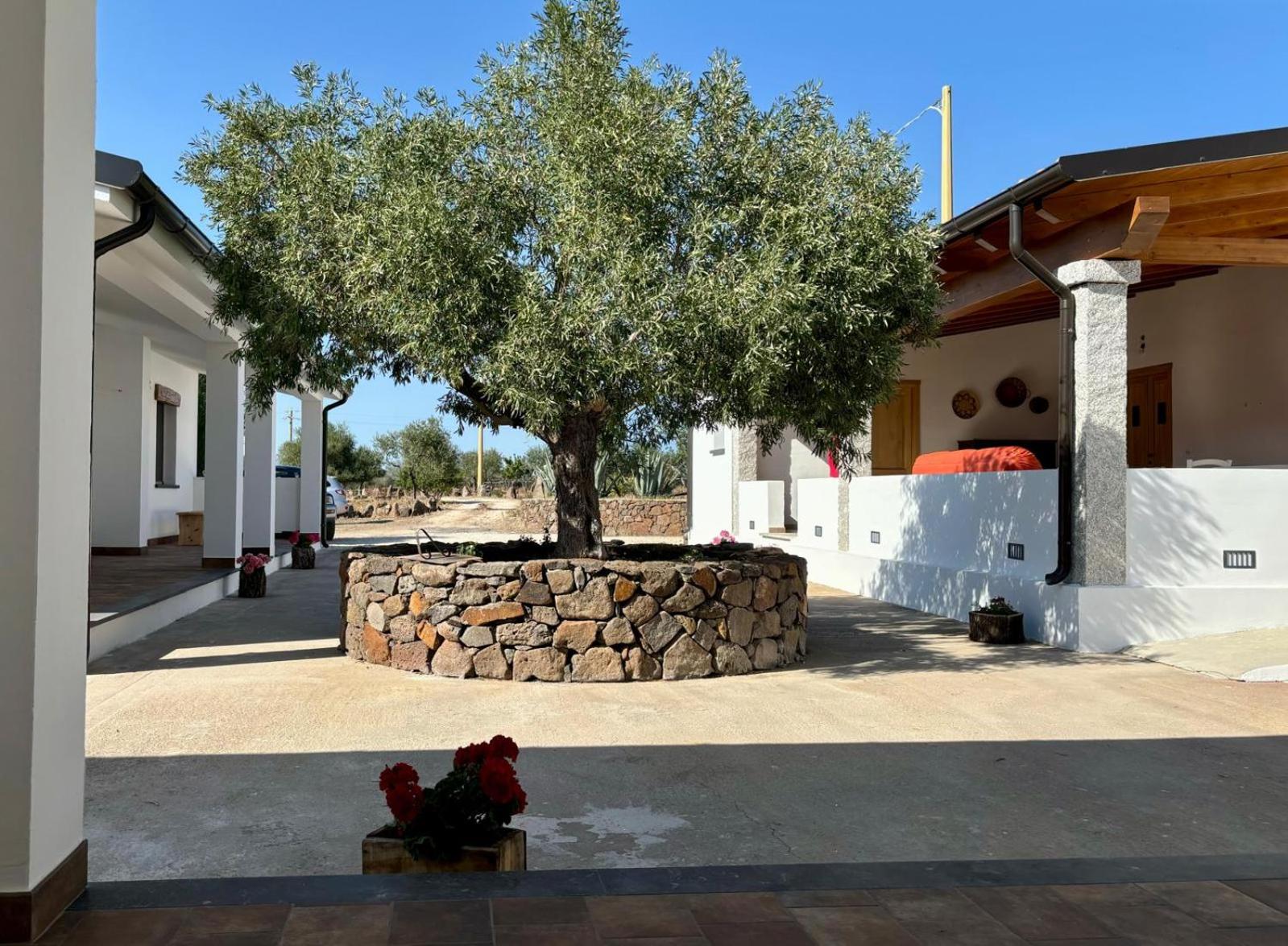 Agriturismo Sa Murta Dorgali