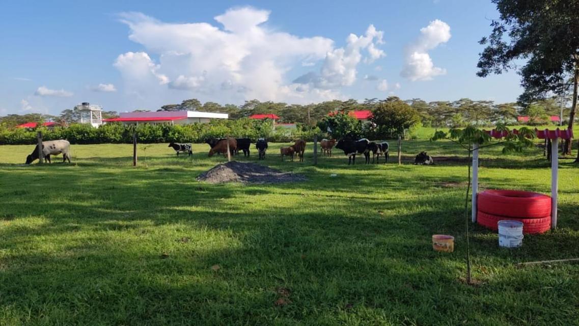 Finca la Margarita
