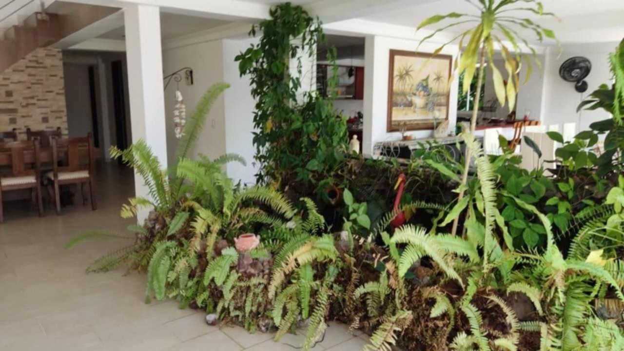 Finca la Margarita