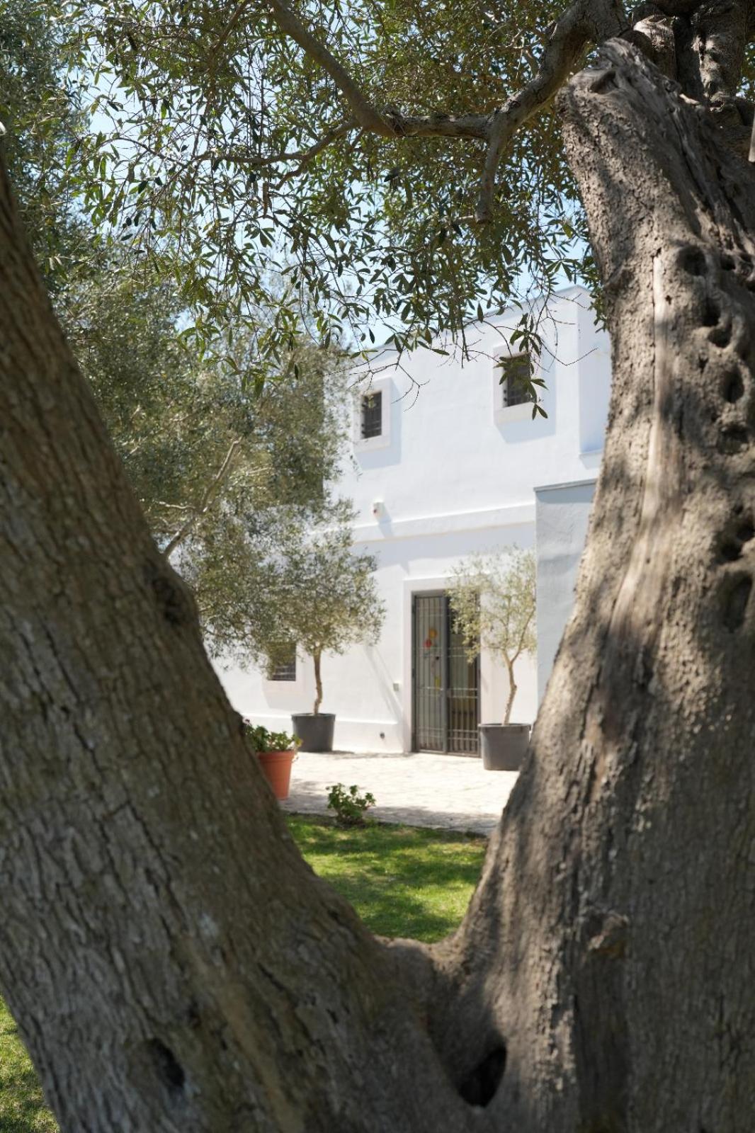 Masseria Claudia