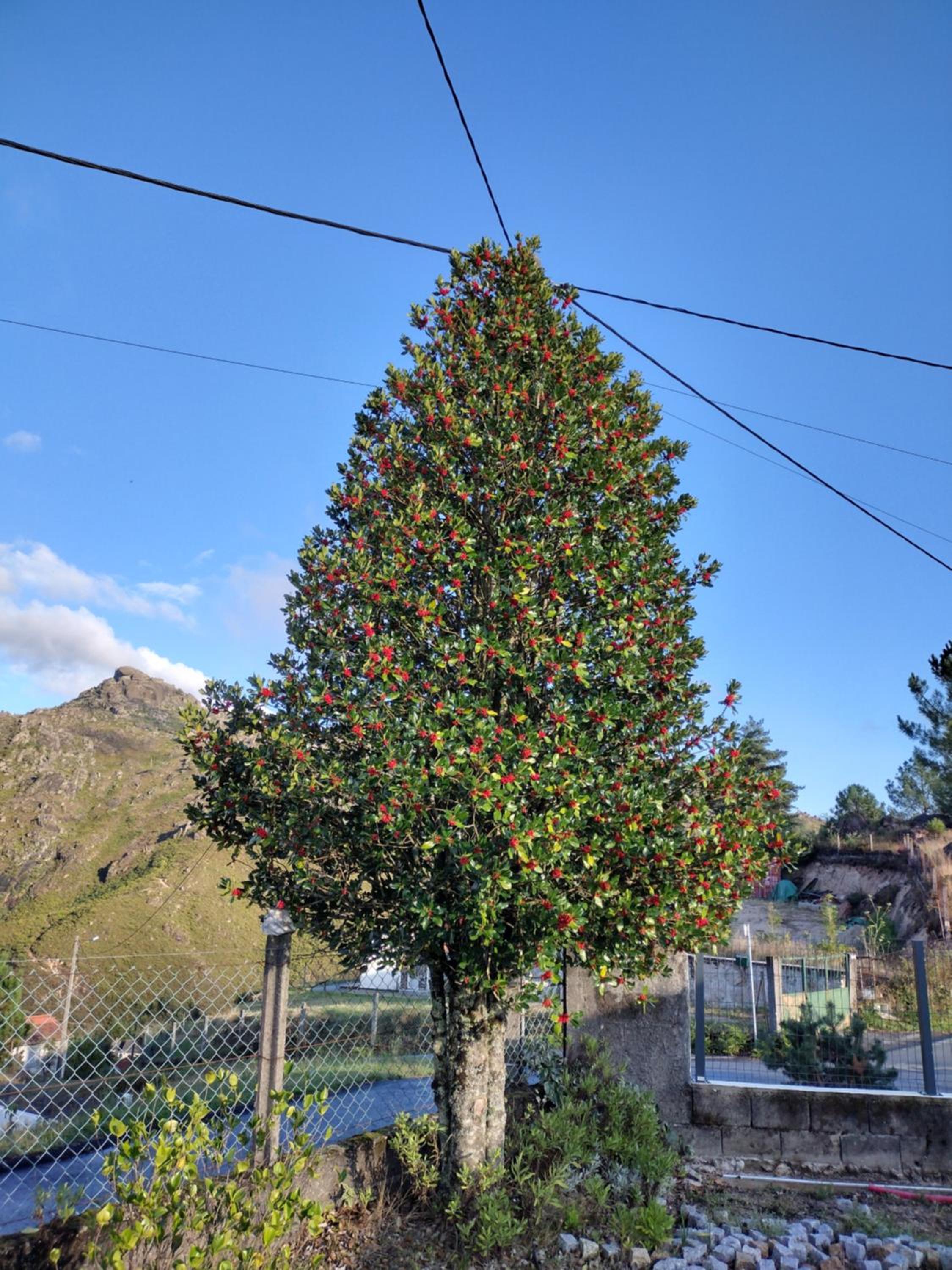 Casa na Serra