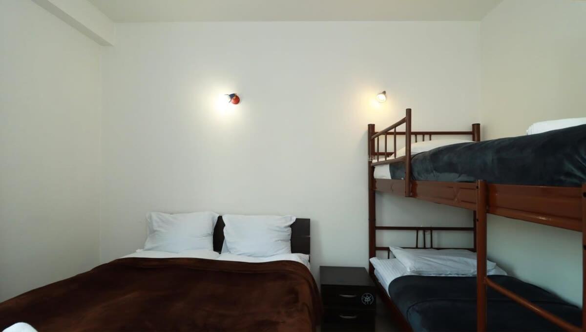 1BR Apartment in Gudauri view 4