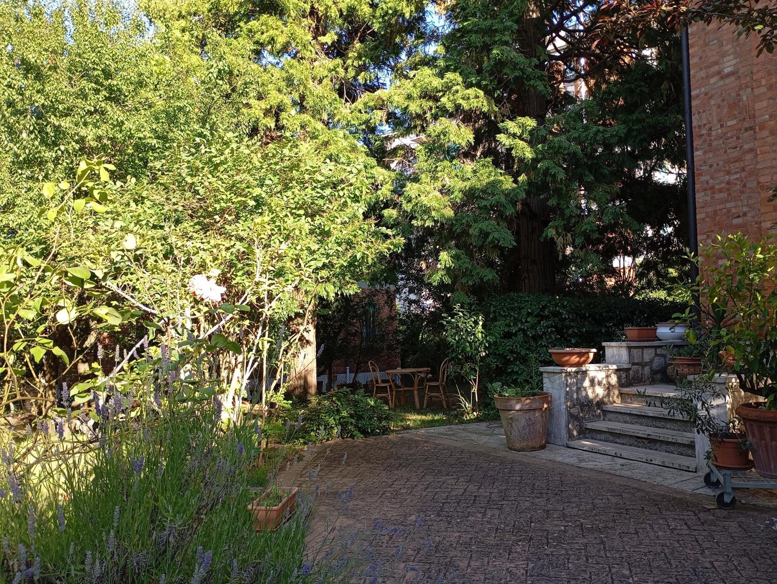Photo 37