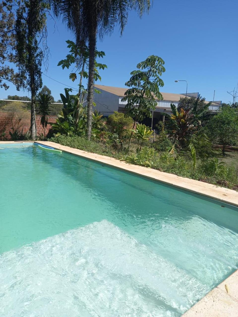 Los Árboles