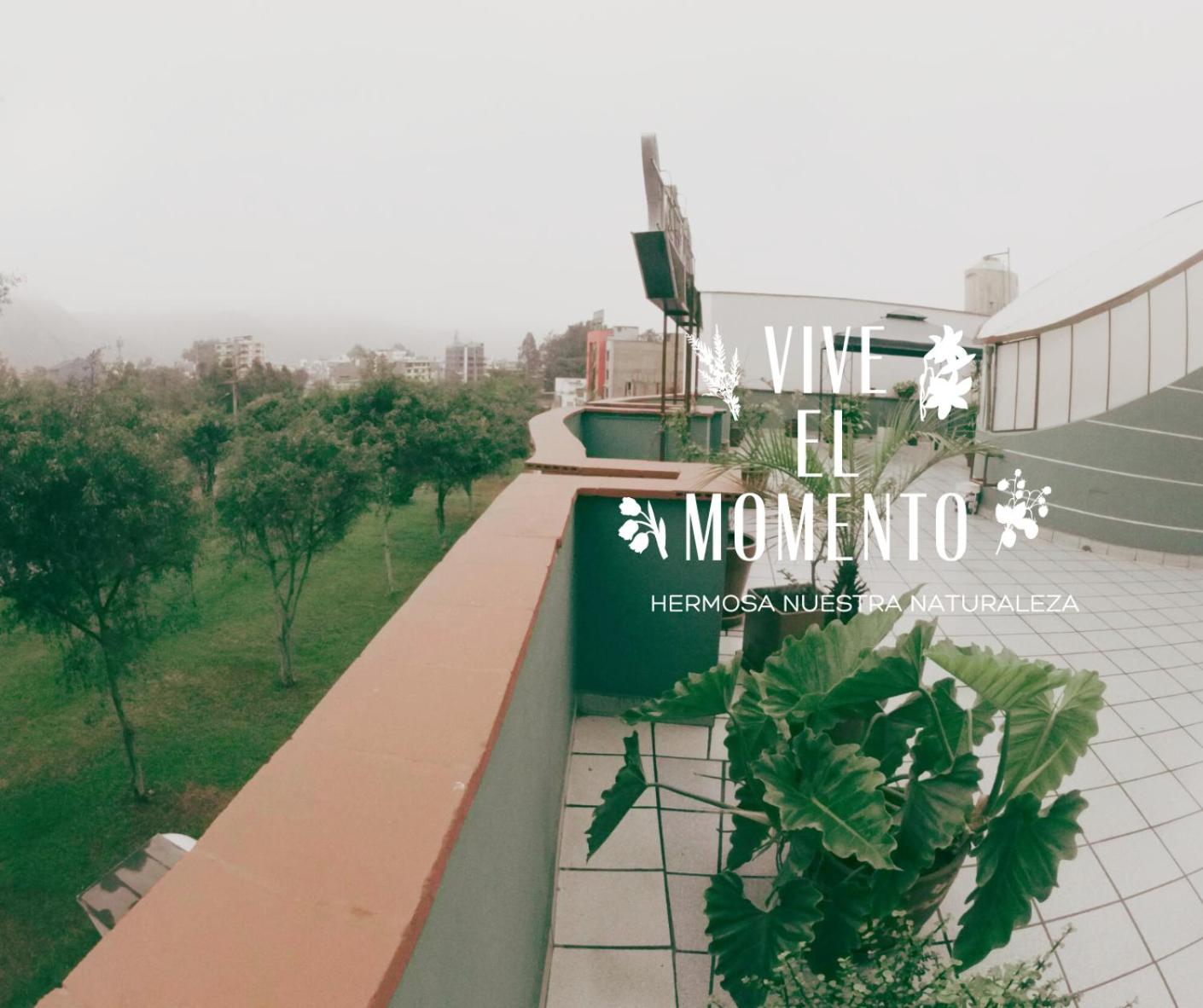 Hotel Asturias Inn, photo 13