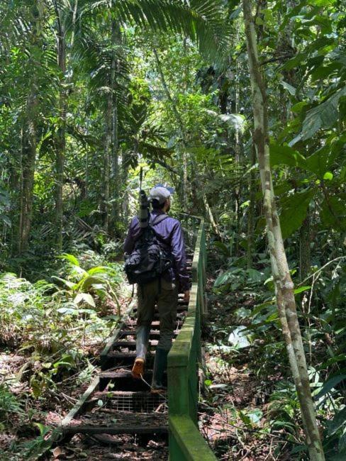 Tirimbina Rainforest Lodge