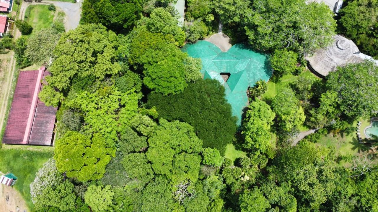 Tirimbina Rainforest Lodge