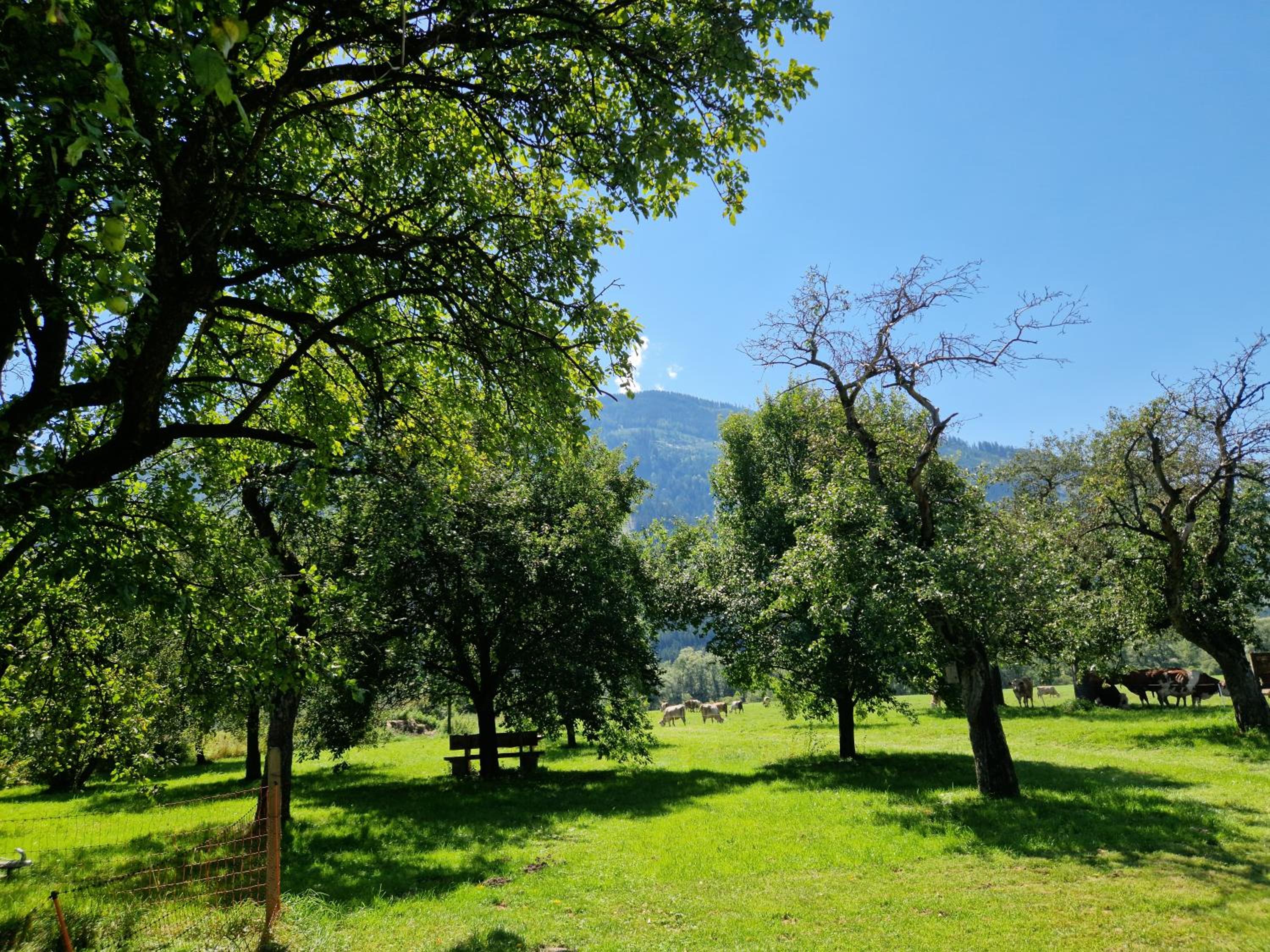 Ferienwohnung 