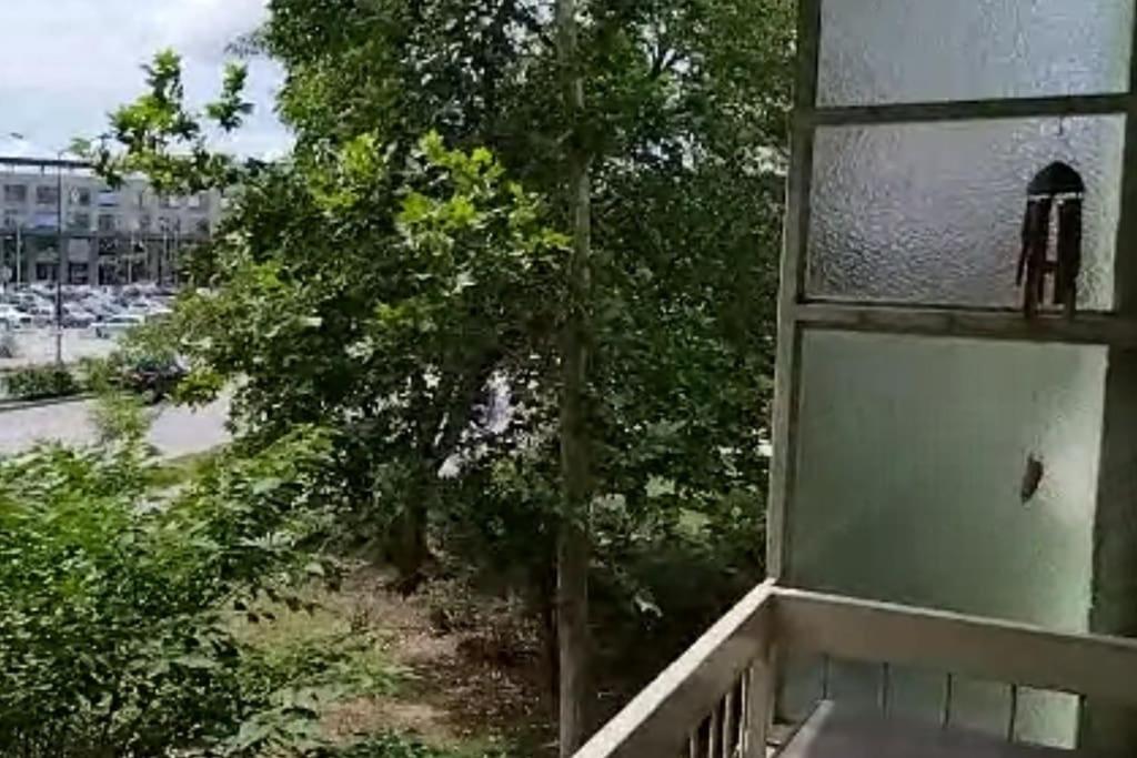 Lovely apartment near NS Fair view 5