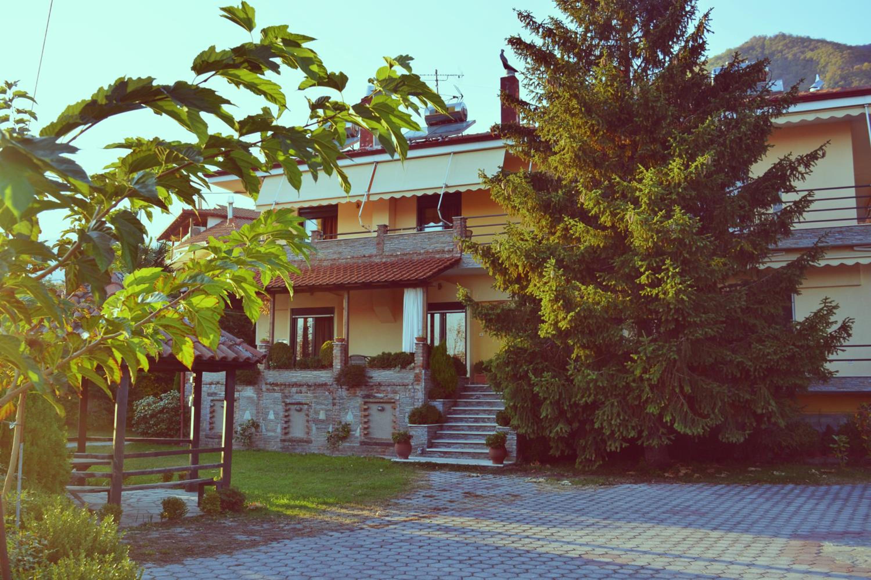 Photo 44