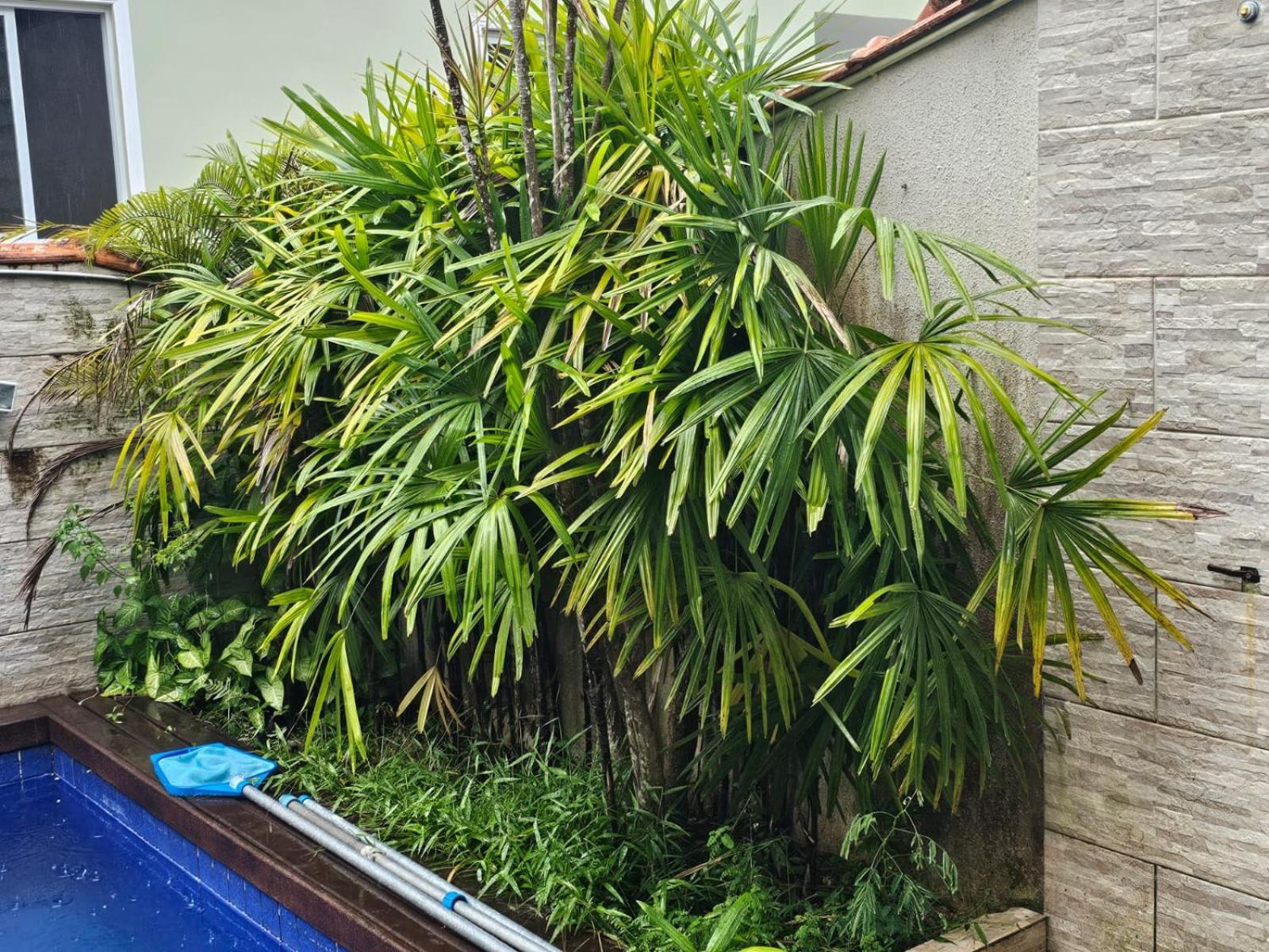 Duplex Inteiro com Piscina , & Churrasqueira