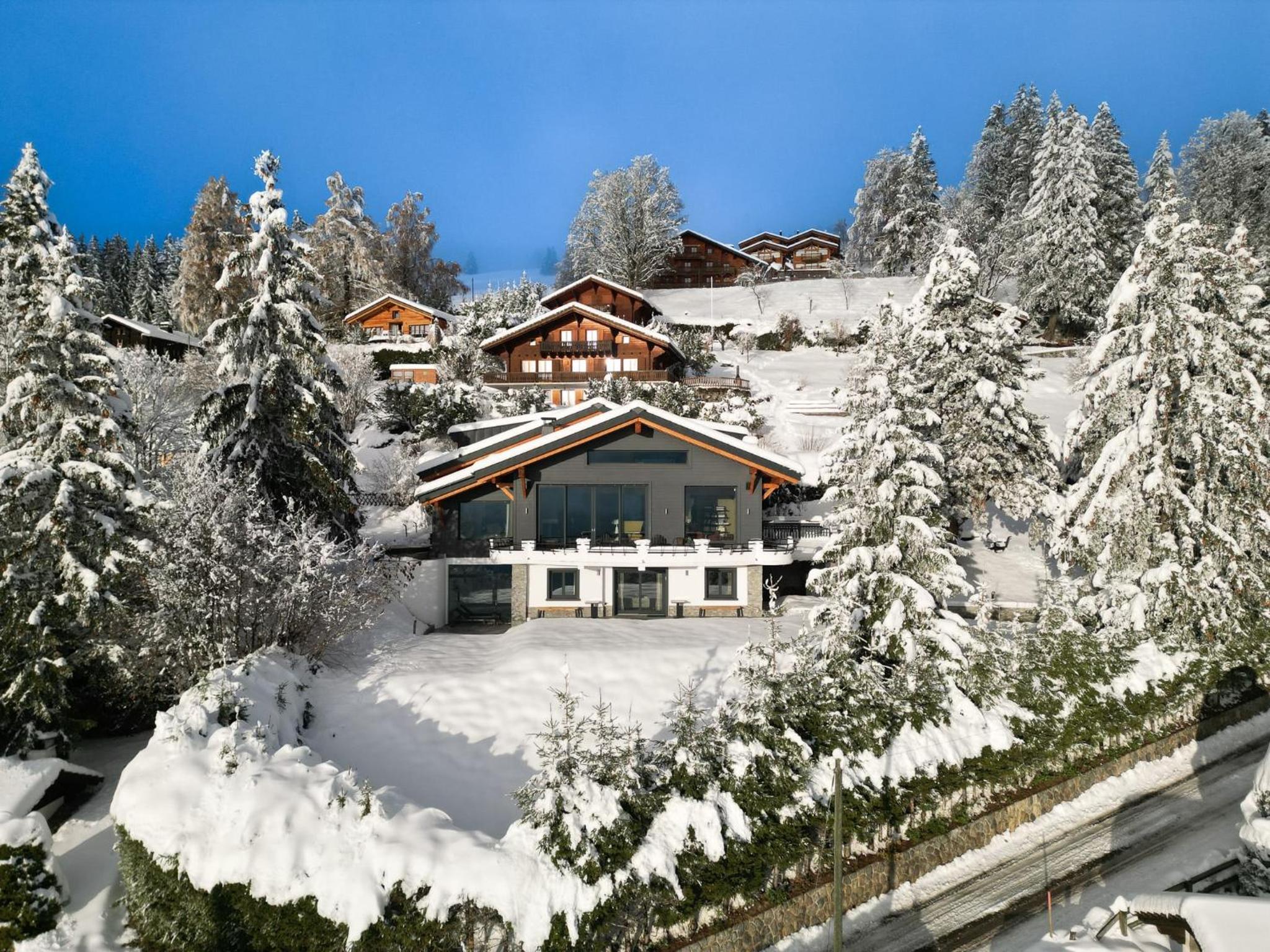 Sumptuous Chalet with Breathtaking views by GuestLee