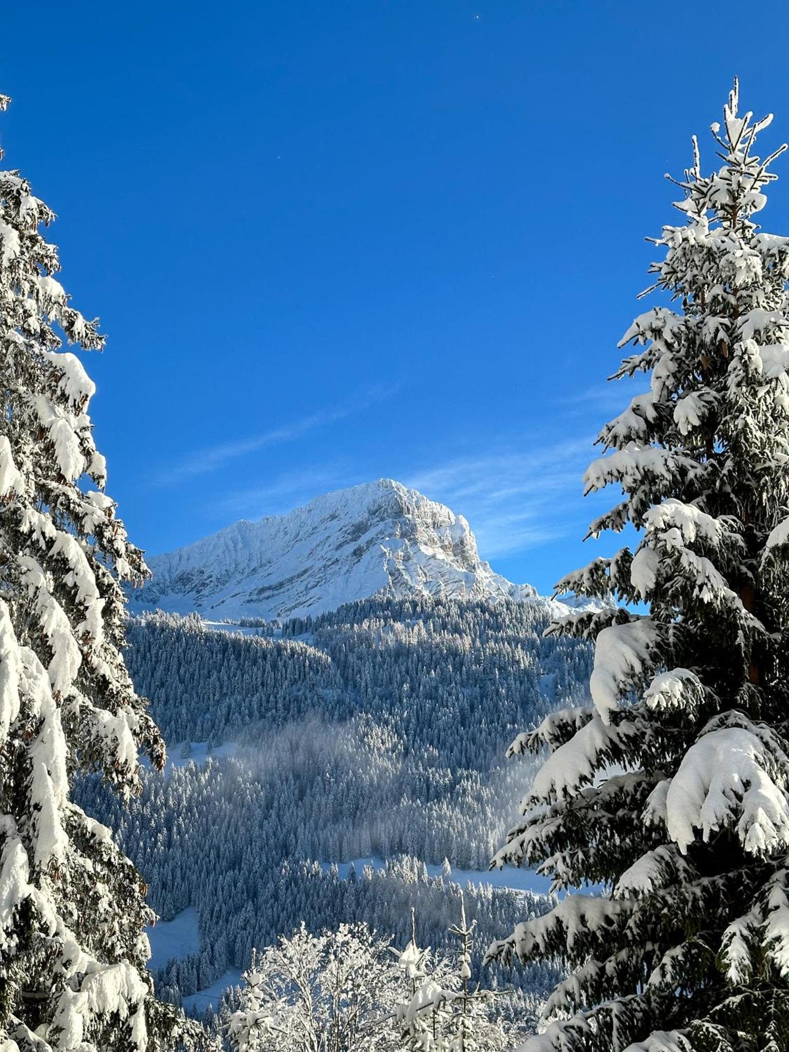 Sumptuous Chalet with Breathtaking views by GuestLee