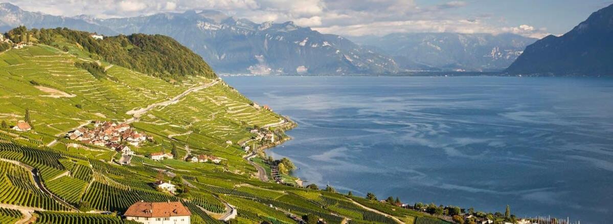 Villa Rose in the center of Montreux by GuestLee