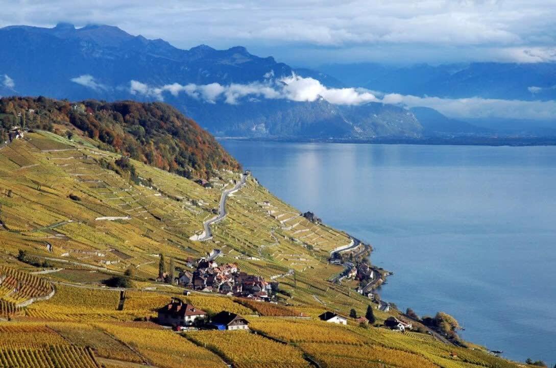 Villa Rose in the center of Montreux by GuestLee