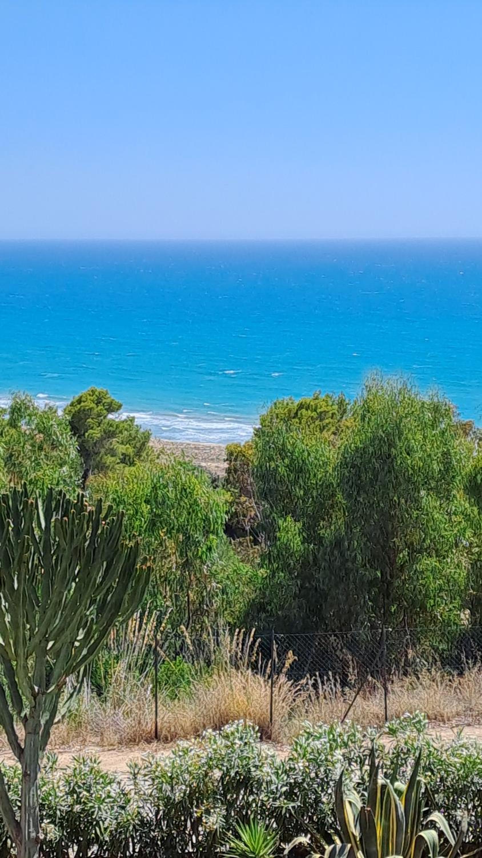 Villa torre salsa view 4