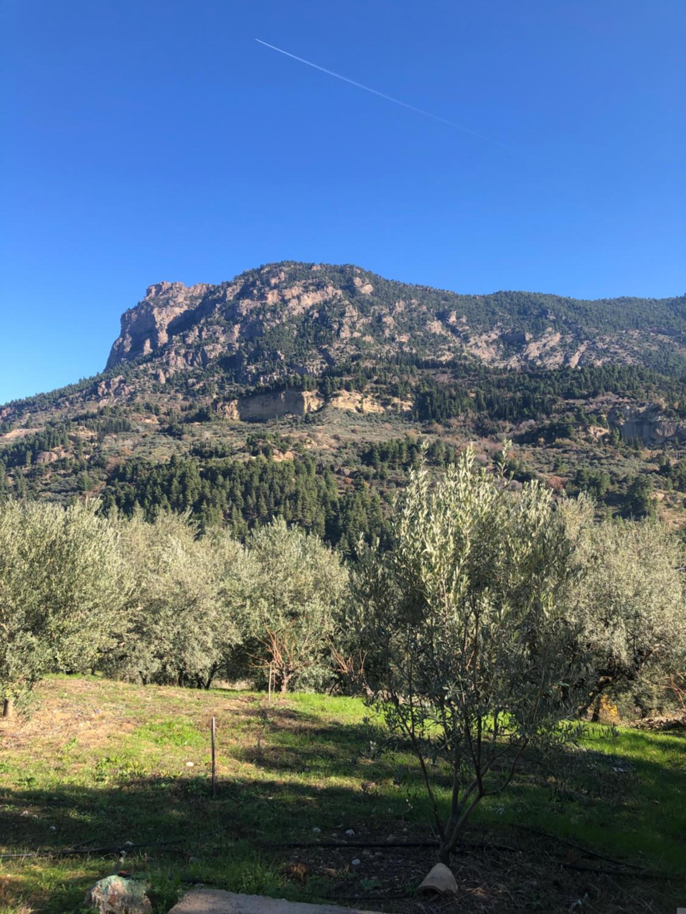 Farmhouse Prosilio