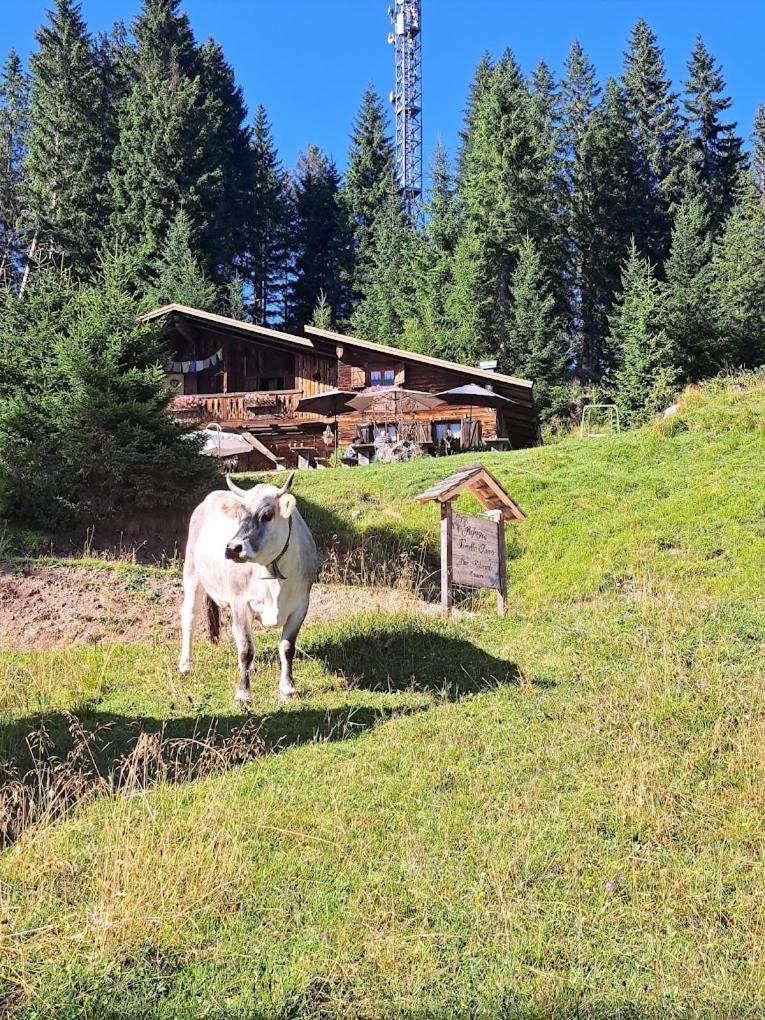 Rifugio Forcella Zovo