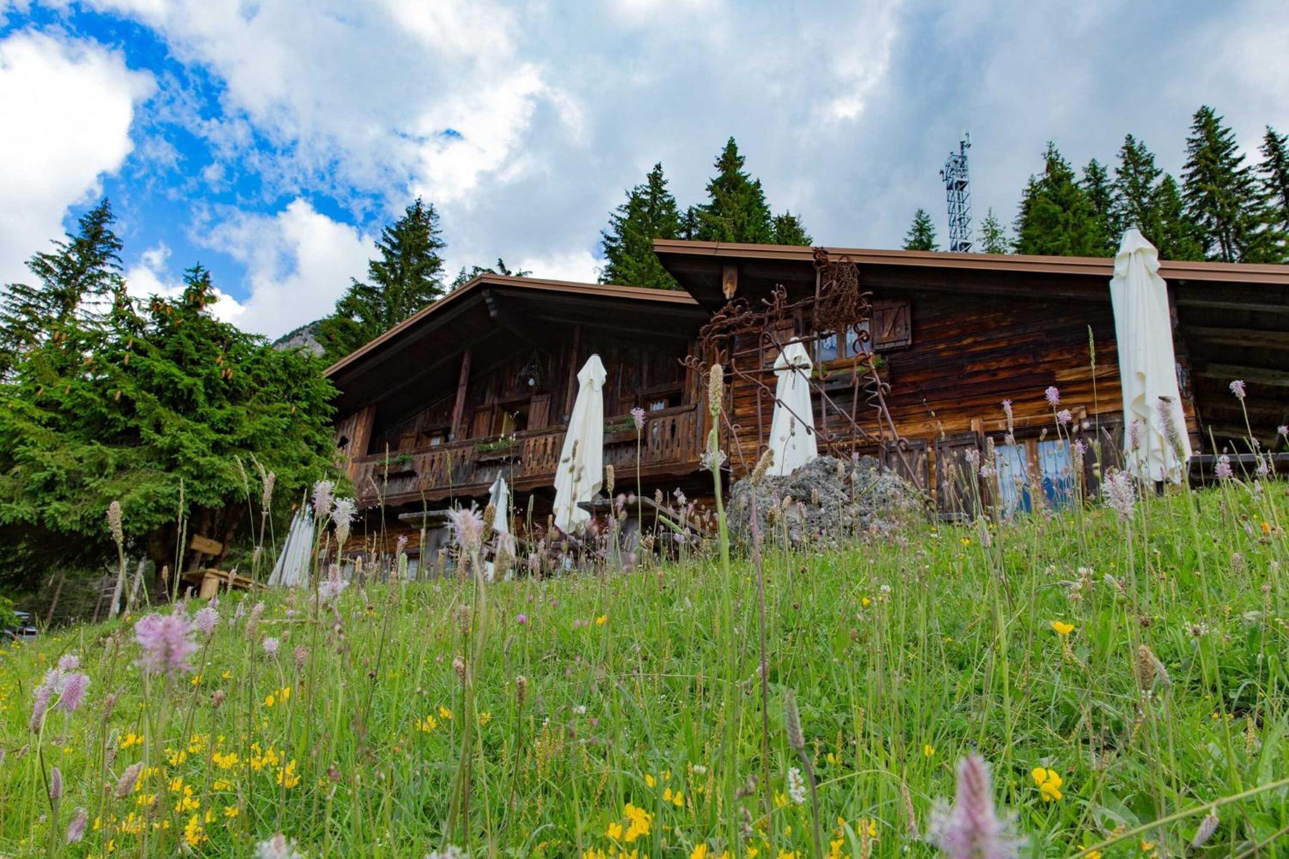 Rifugio Forcella Zovo