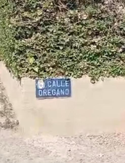 Villa Oregano Oasis Stunning Villa with own heated pool