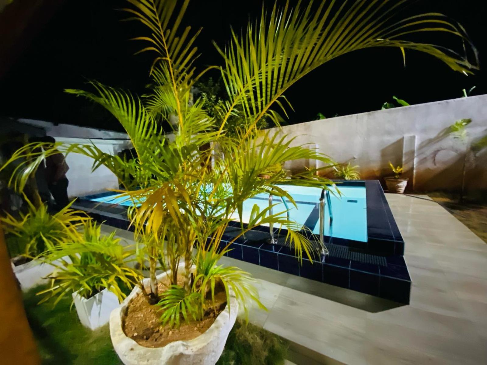 Alffa Guest Inn view 5