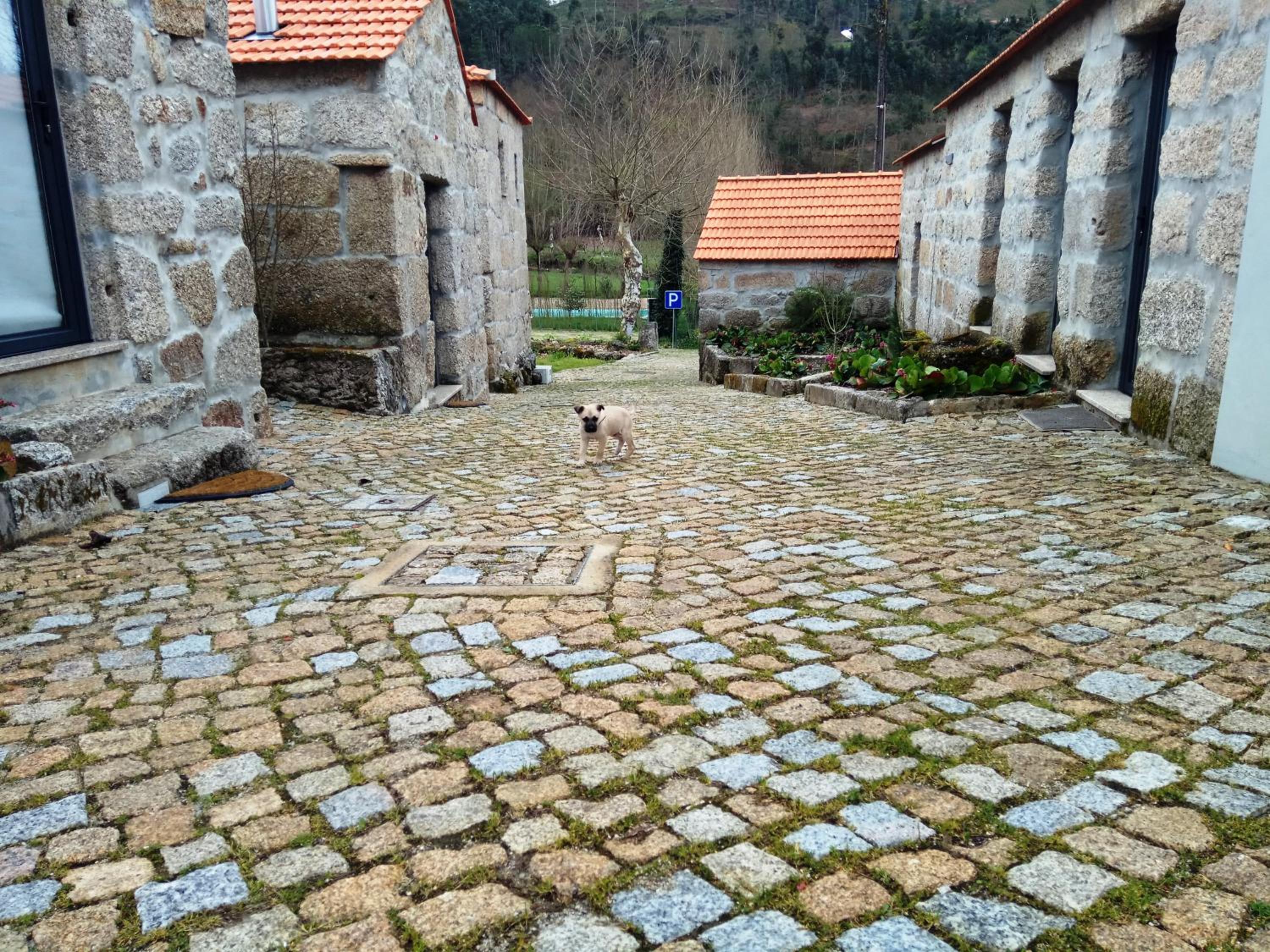 Photo 41