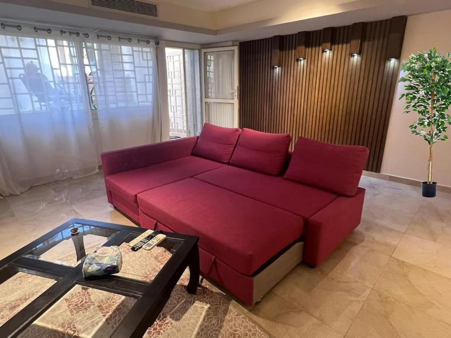 Luxurious Studio